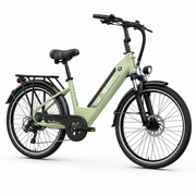 JASION EB5 Roamer ST Sage Green – Studio 45°