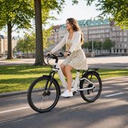 TTGO E-SUVO E-Bike - Static view 33