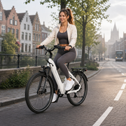 TTGO C5 E-Bike - Static view 14