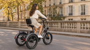 FAFREES F20 Mate Gray Blue – Studio 10